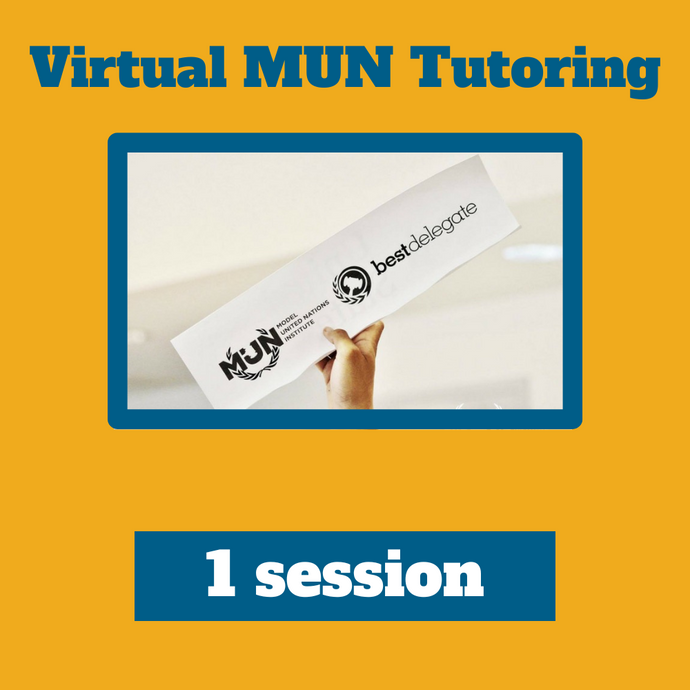 1 Model UN Tutoring Package (School Year)