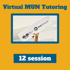12 Model UN Tutoring Package