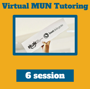 6 Model UN Tutoring Package